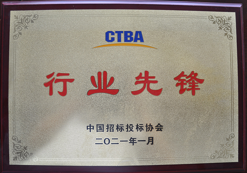 中國(guó)招標(biāo)投標(biāo)協(xié)會(huì)行業(yè)先鋒